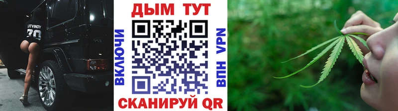 Каннабис гибрид  Губкинский 